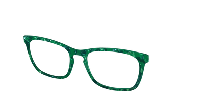 The Emerald Pearl Tortoise