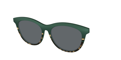 The Polarized Spruce Tortoise Sun Top
