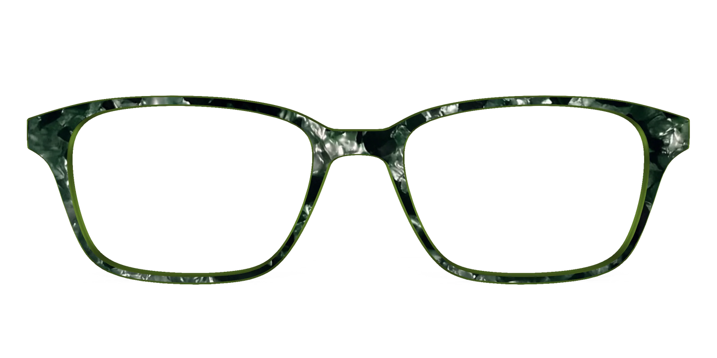 The Olive Pearl Tortoise