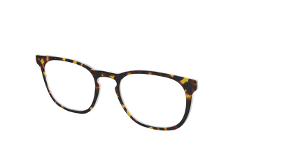 The Tortoise