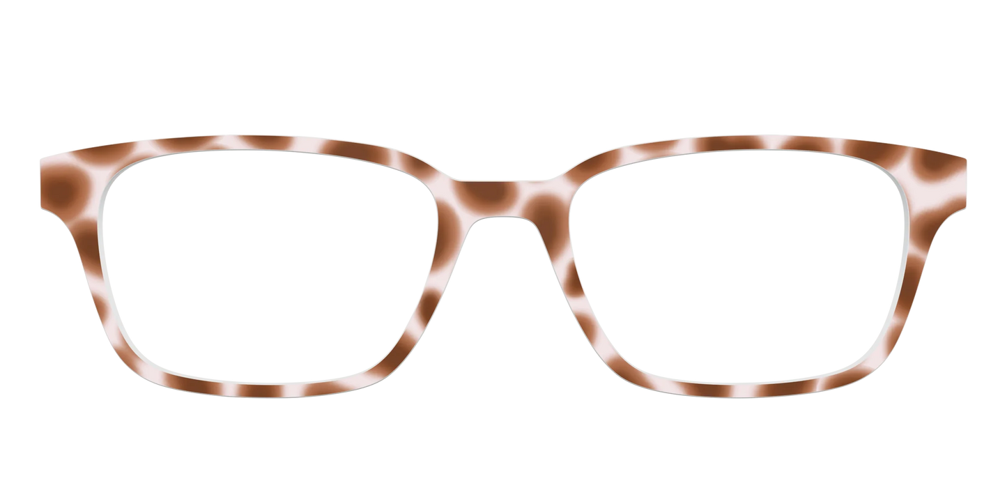 The Caffé Tortoise
