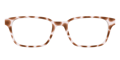 The Caffé Tortoise