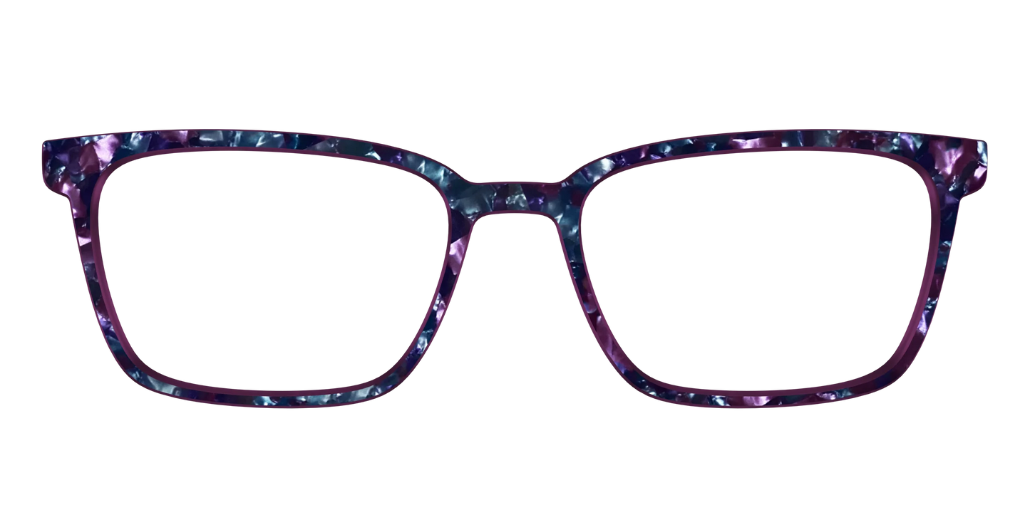The Black Opal Pearl Tortoise