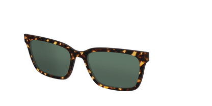 The Non-Polarized Green Tortoise Sun Top