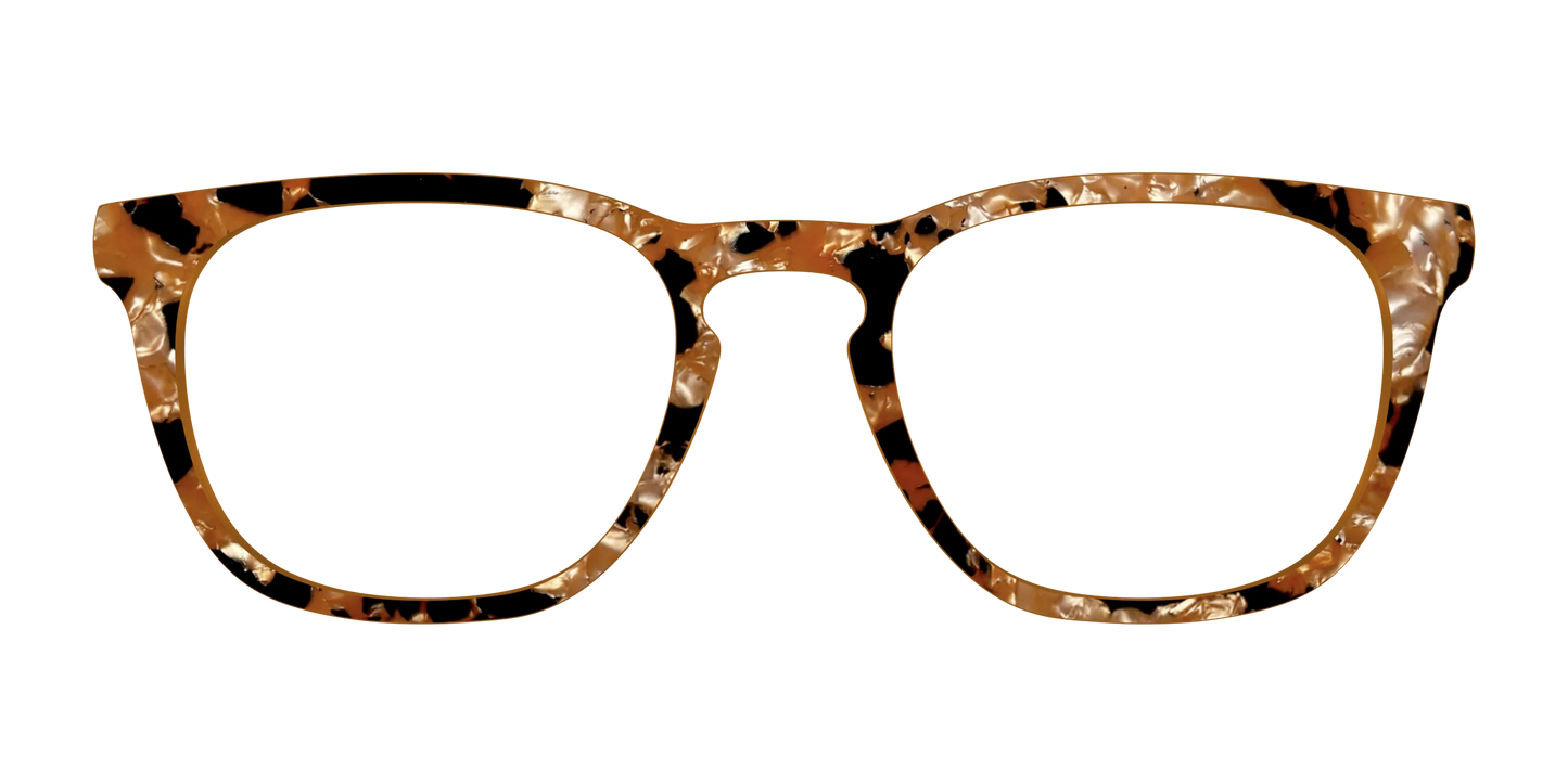 The Caramel Pearl Tortoise