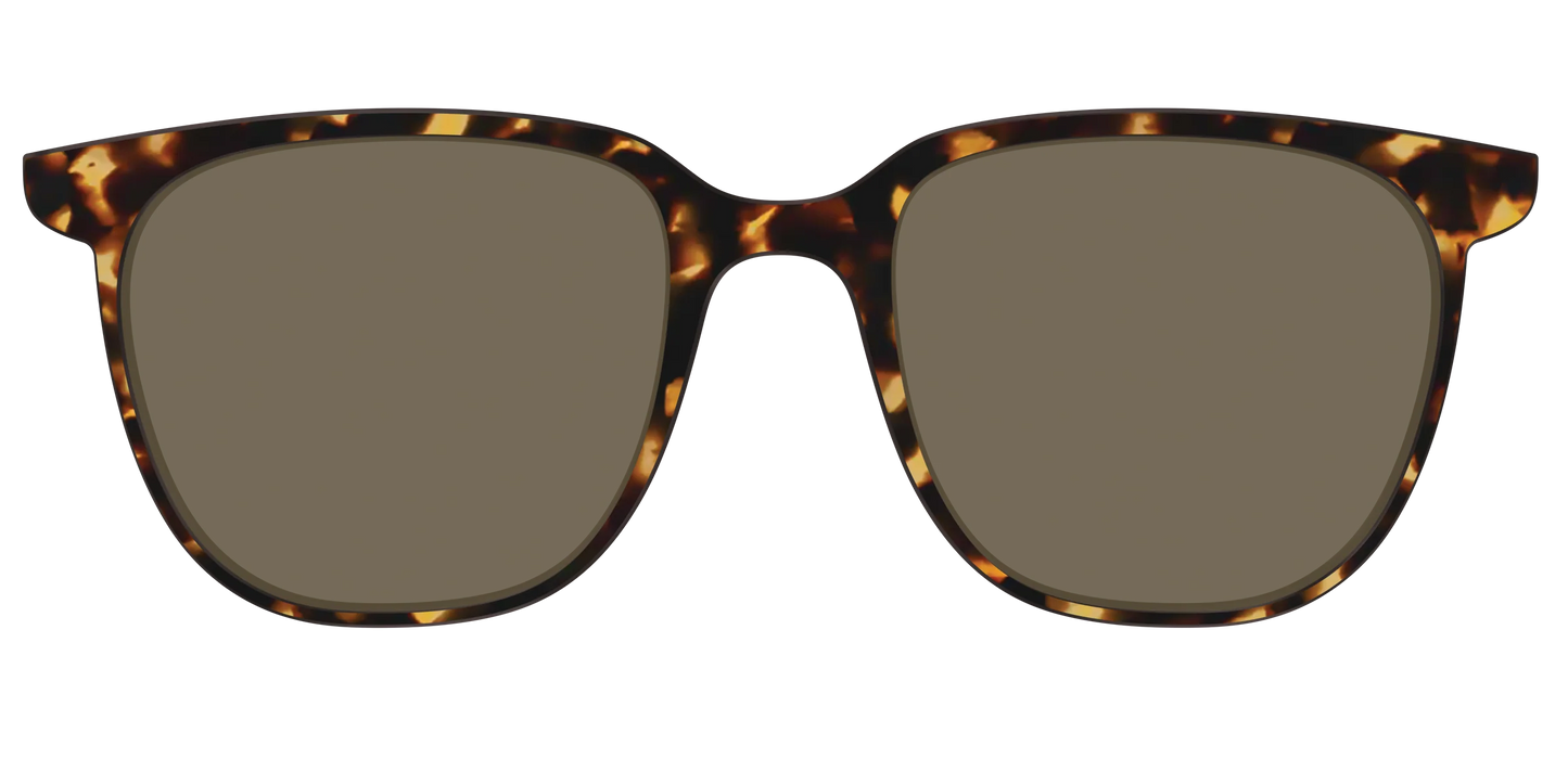 The Polarized Tortoise Sun Top
