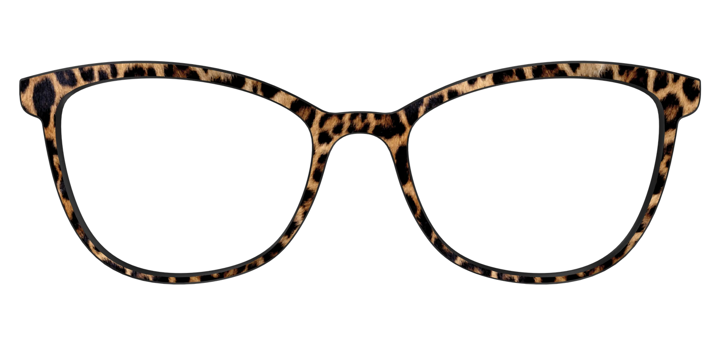 The Cheetah Spots