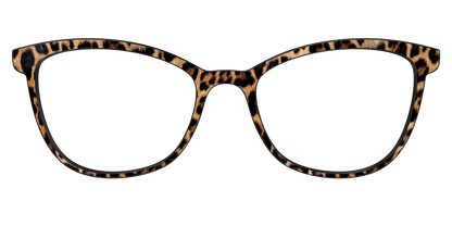The Cheetah Spots