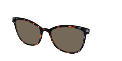 The Polarized Gray & Amber Tortoise Sun Top