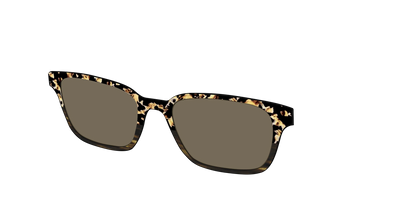 The Polarized Caramel Tortoise Horn Split Sun Top