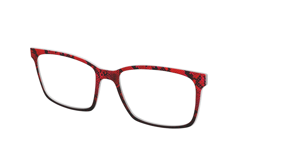 The Statement Snakeskin