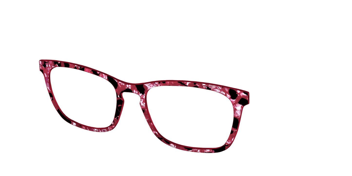 The Raspberry Pearl Tortoise
