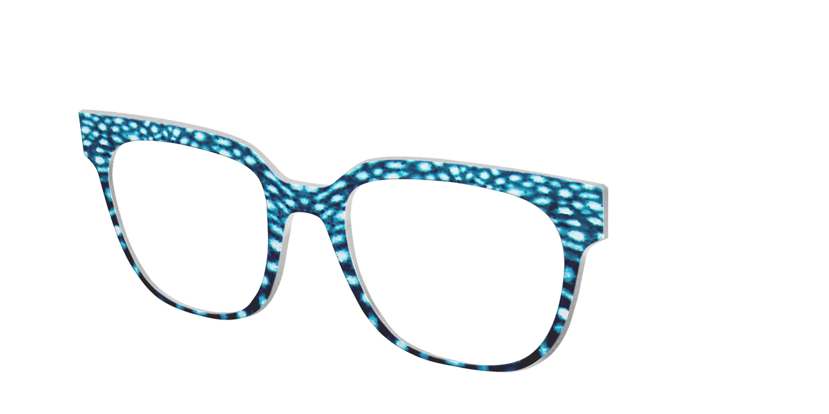 The Whale Shark Spots