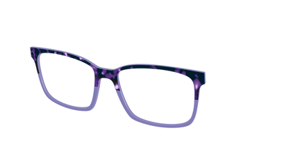 The Iris Tortoise Crystal Split