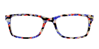 The Tempo Tortoise