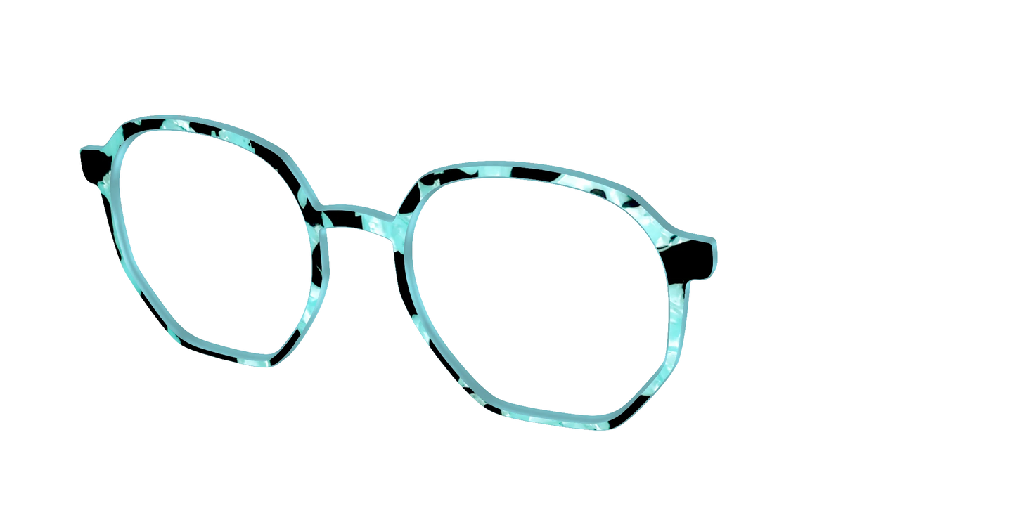 The Robin's Egg Pearl Tortoise