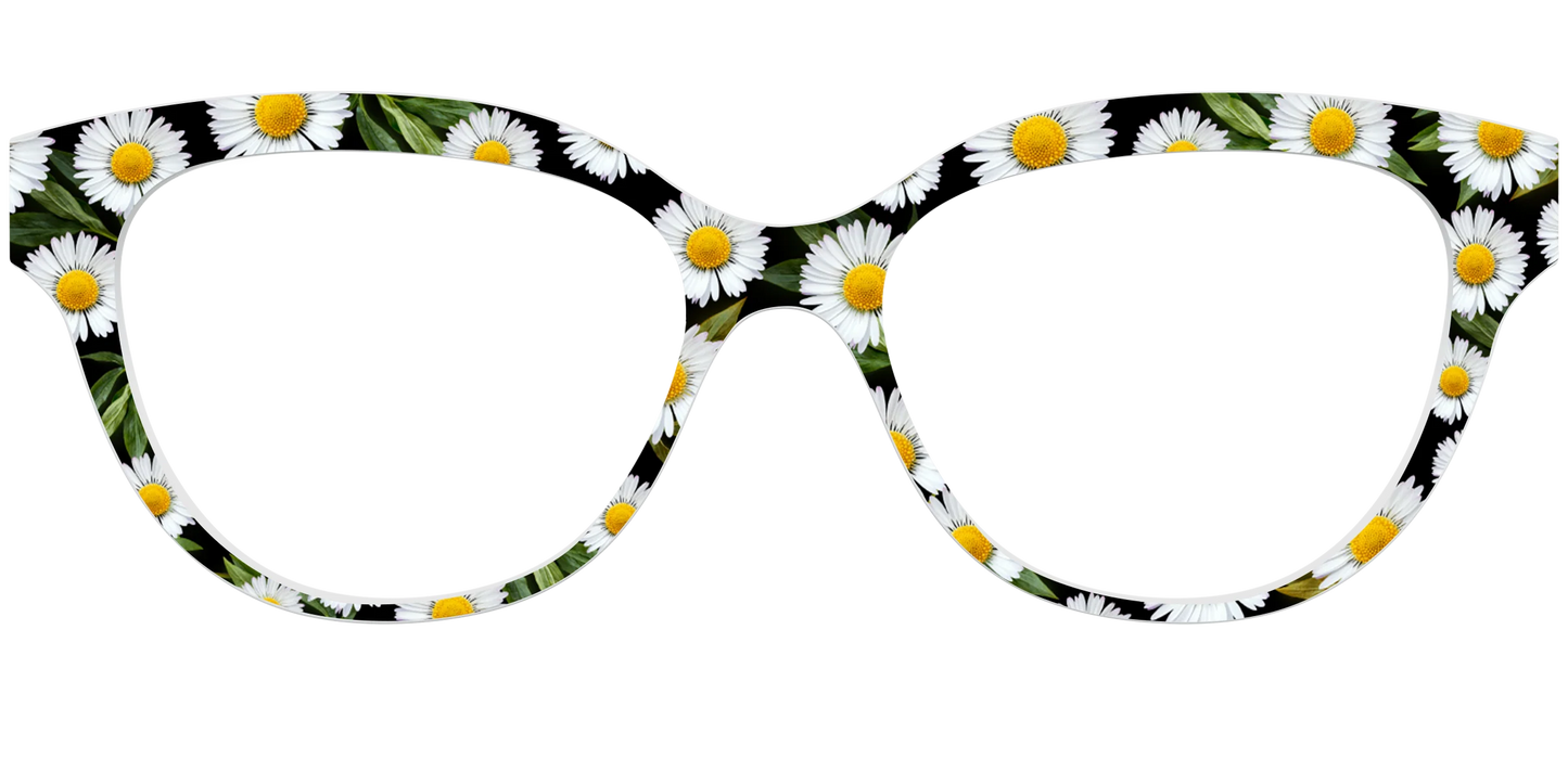 The Delicate Daisies
