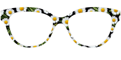 The Delicate Daisies