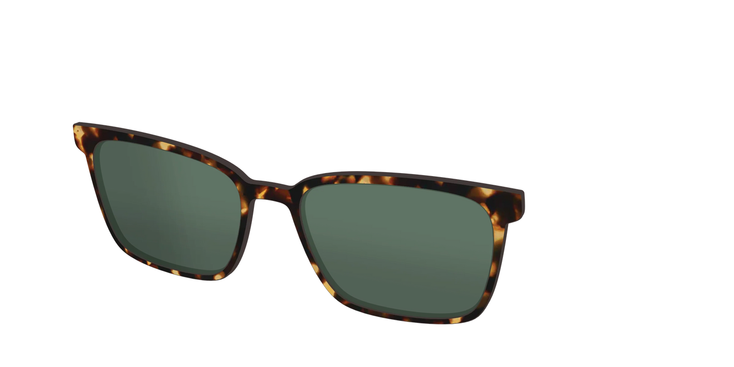 The Non-Polarized Green Tortoise Sun Top