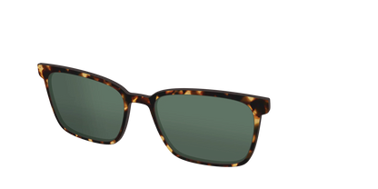 The Non-Polarized Green Tortoise Sun Top