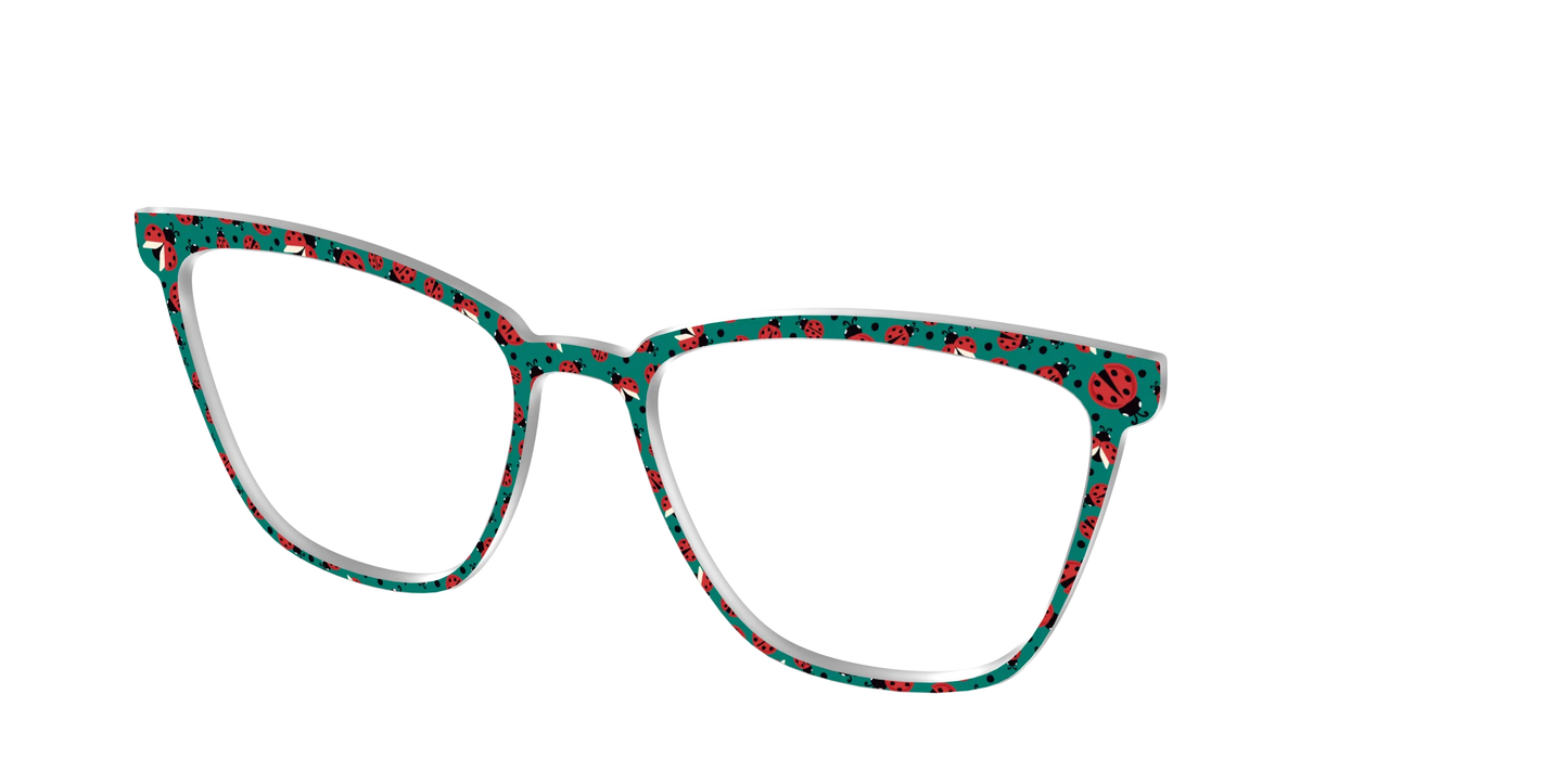 The Ladybug Bunch