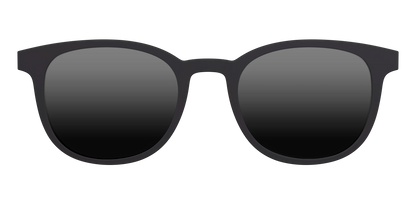 The Polarized Black Sun Top