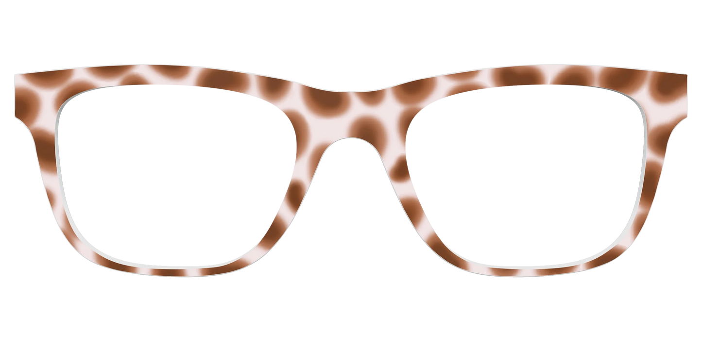 The Caffé Tortoise