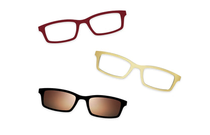 Tortoise - Set