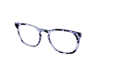 The Lilac Pearl Tortoise