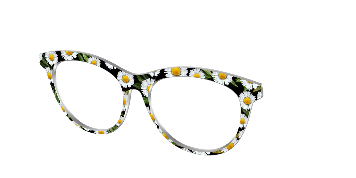 The Delicate Daisies