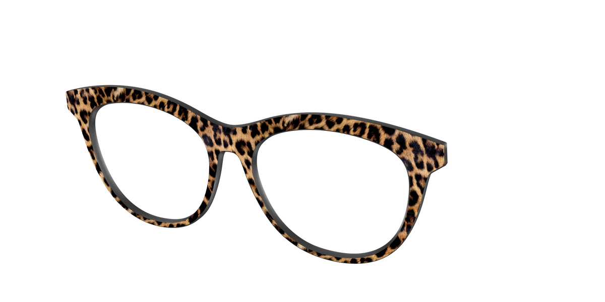 The Cheetah Spots