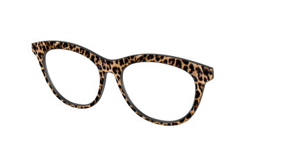 The Cheetah Spots