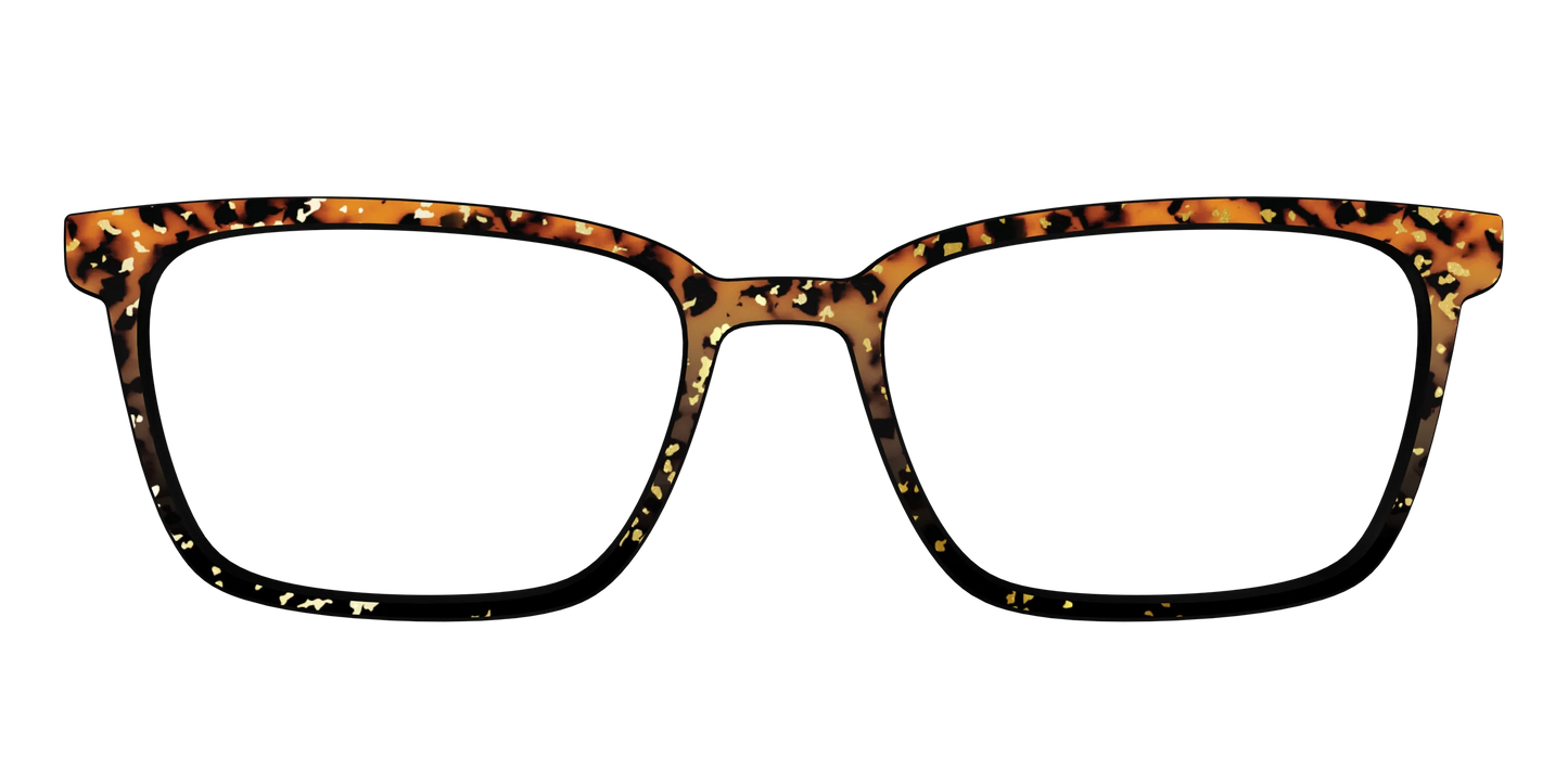 The Rustic Gold Leaf Tortoise