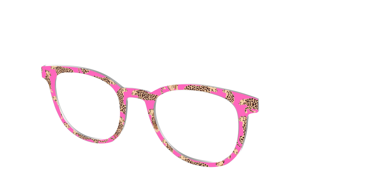 The Hot Pink Cheetahs