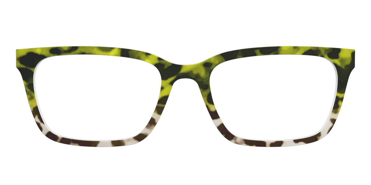 The Avocado to Ivory Tortoise