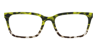 The Avocado to Ivory Tortoise