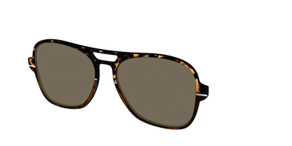 The Polarized Chic Tortoise Split Sun Top