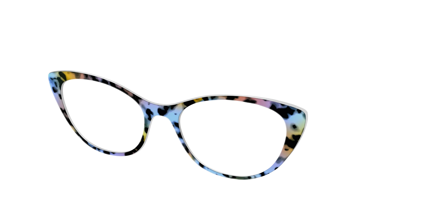 The Positano Tortoise