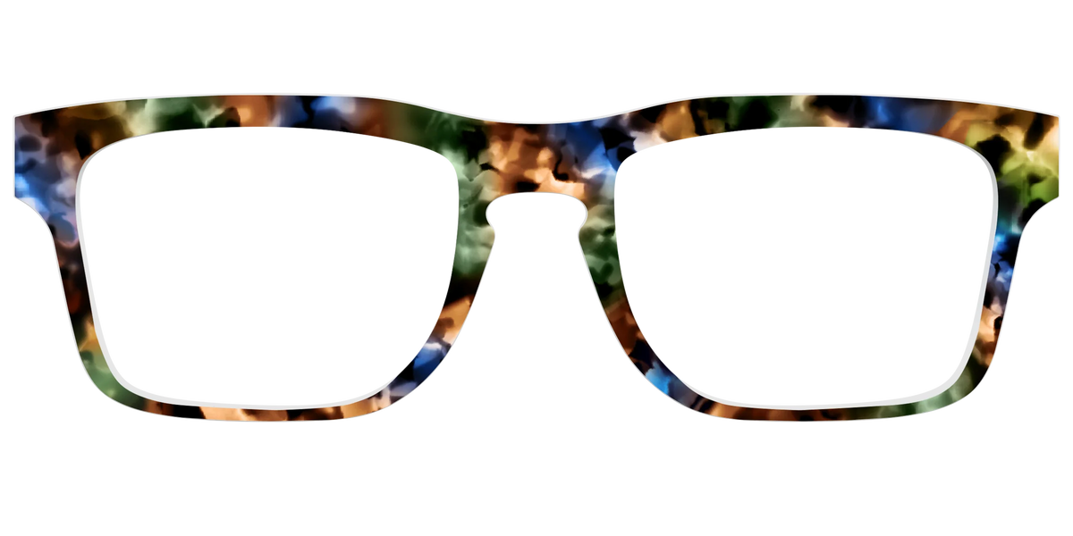 The Hearthside Tortoise