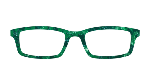 The Emerald Pearl Tortoise