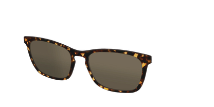 The Non-Polarized Tortoise Sun Top
