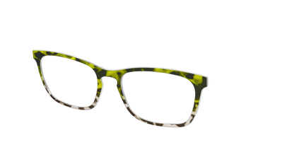The Avocado to Ivory Tortoise