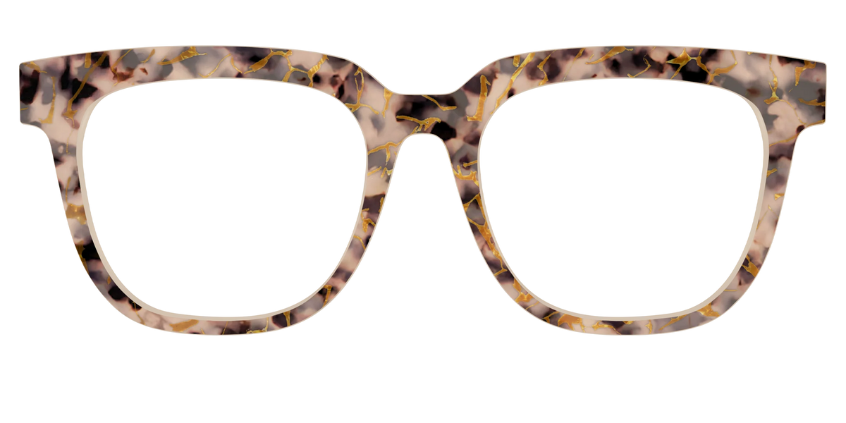 The Almond Tortoise with Gold Streaks