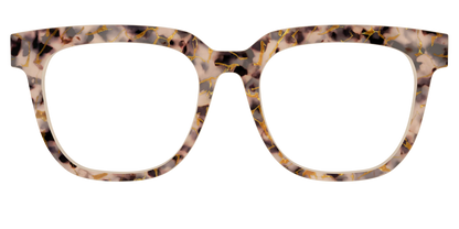 The Almond Tortoise with Gold Streaks