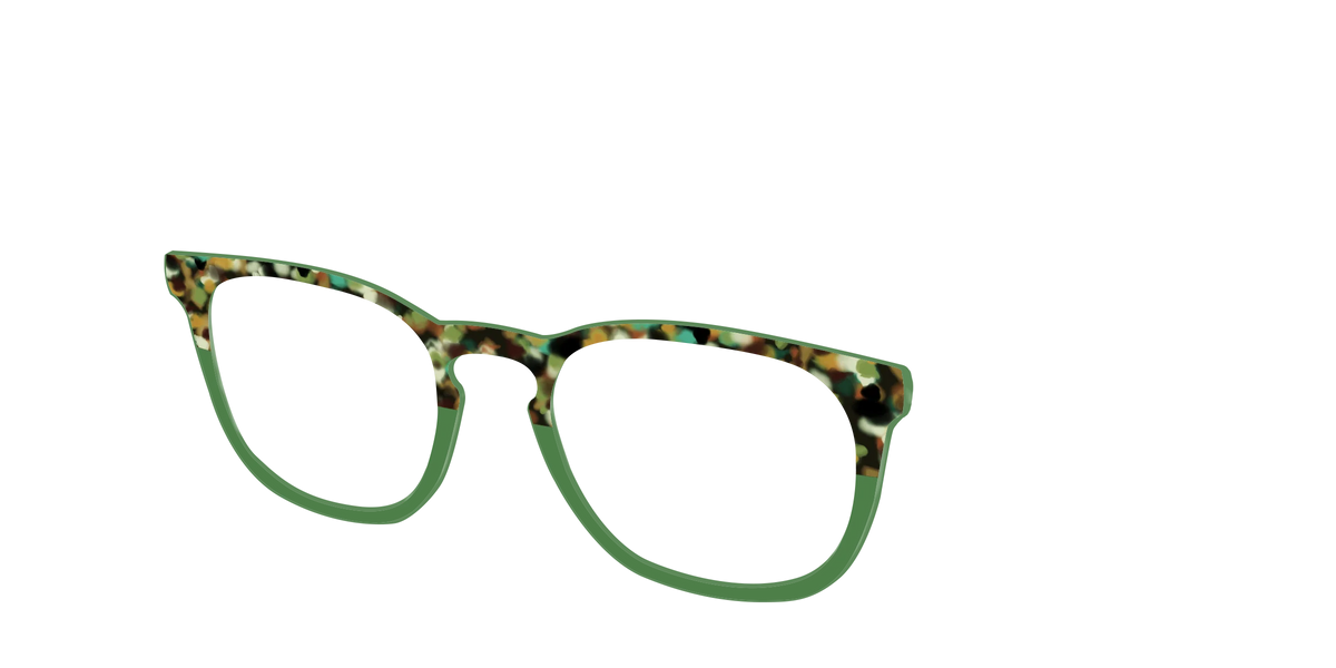 The Forest Tortoise Crystal Split