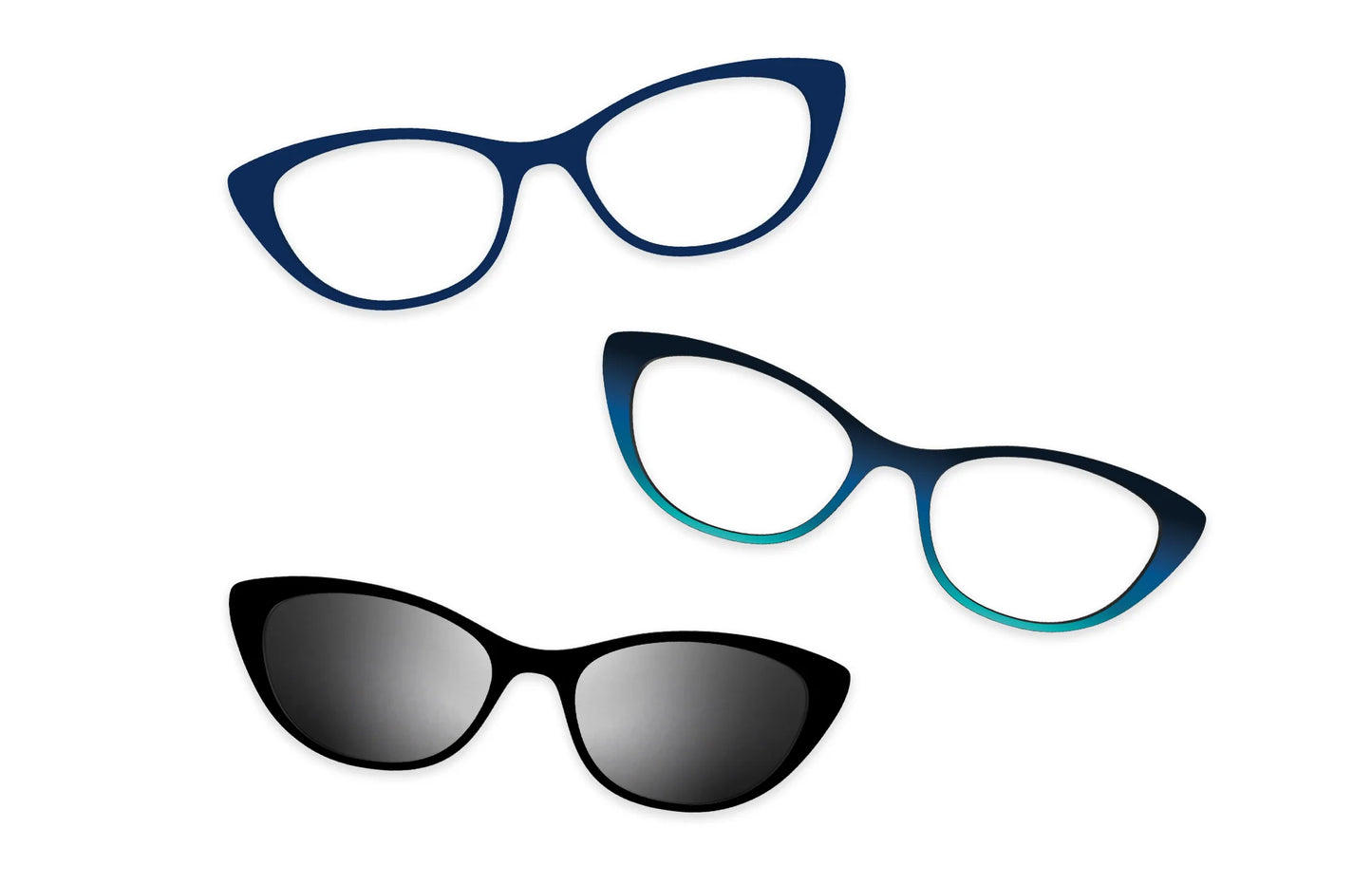 Blue Tortoise - Set