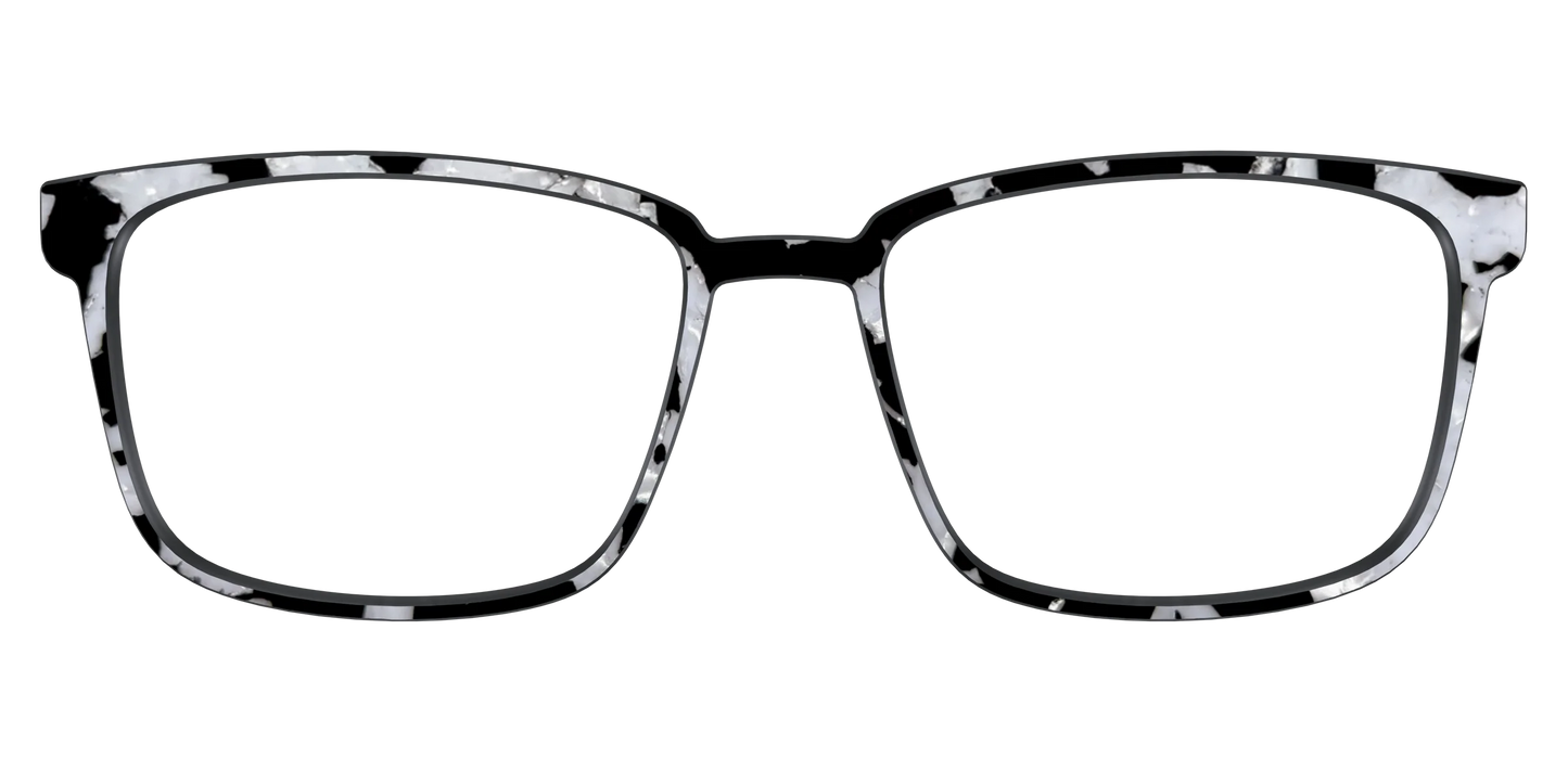 The Black & White Pearl Tortoise