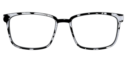 The Black & White Pearl Tortoise