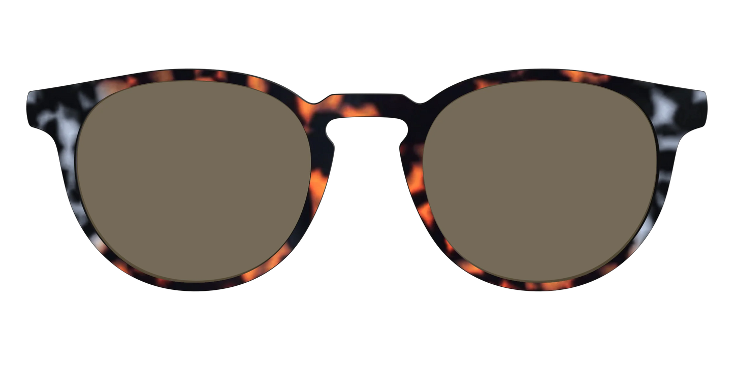 The Polarized Gray & Amber Tortoise Sun Top