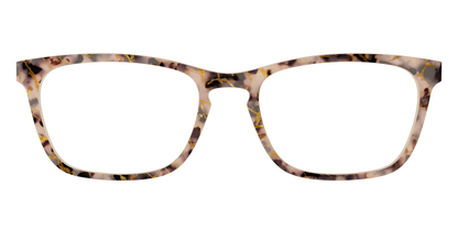 The Almond Tortoise with Gold Streaks